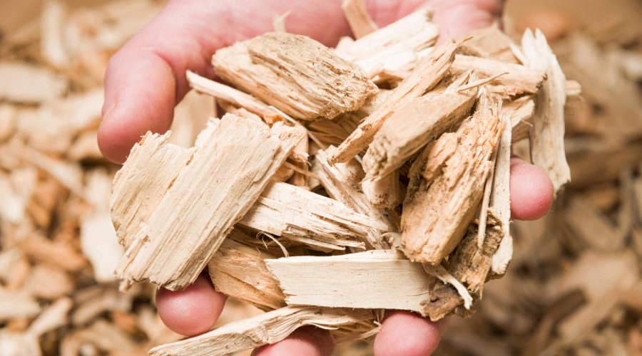 hand holding wood chips