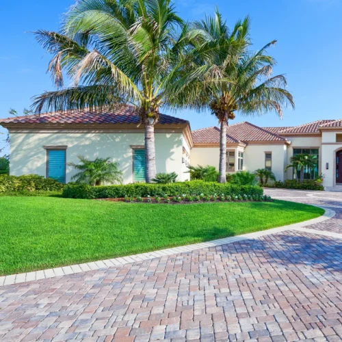 estate home with palm trees