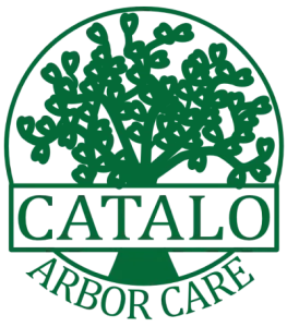 Catalo Arbor Care green